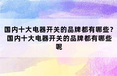 国内十大电器开关的品牌都有哪些？ 国内十大电器开关的品牌都有哪些呢